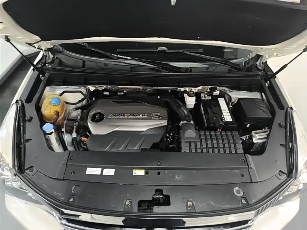 GAC Trumpchi Trumpchi GS8 2017 320T 2WD Luxury Smart Connect (7-seater) фото 20