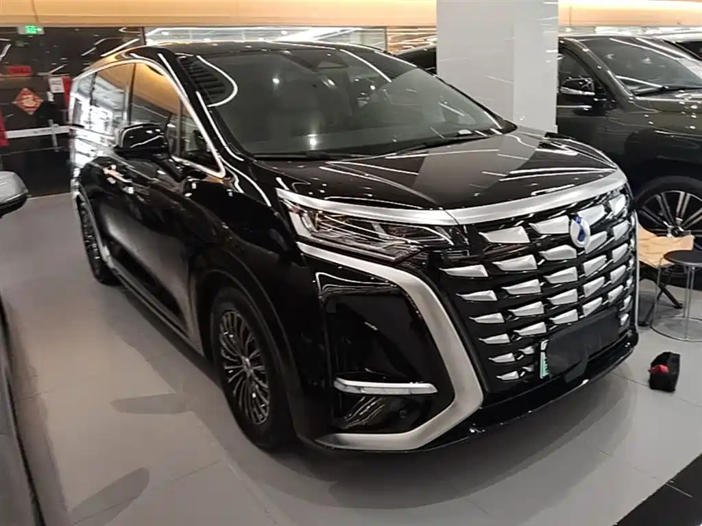 Denza D9 2024 DM-i 980 AWD Prestige фото 4