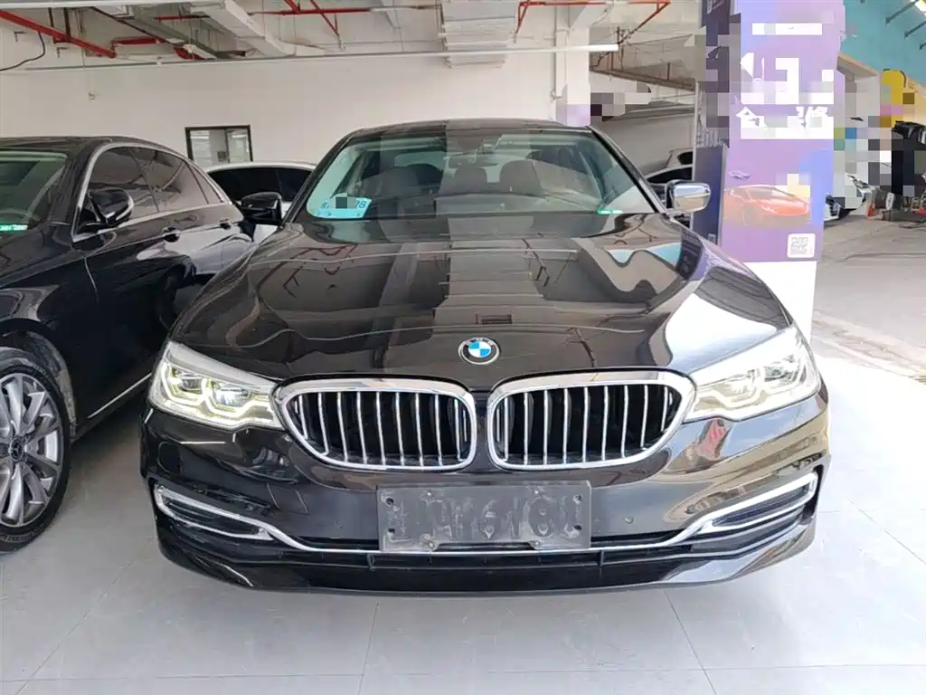 BMW 5 Series 2020 530Li Leading Luxury Package фото 3
