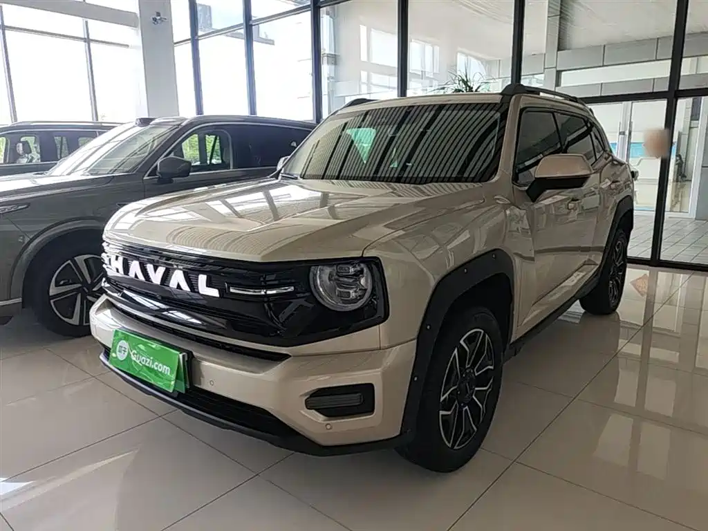 Haval Second-Generation Big Dog New Energy 2025 Hi4 145km Premium Edition фото 2