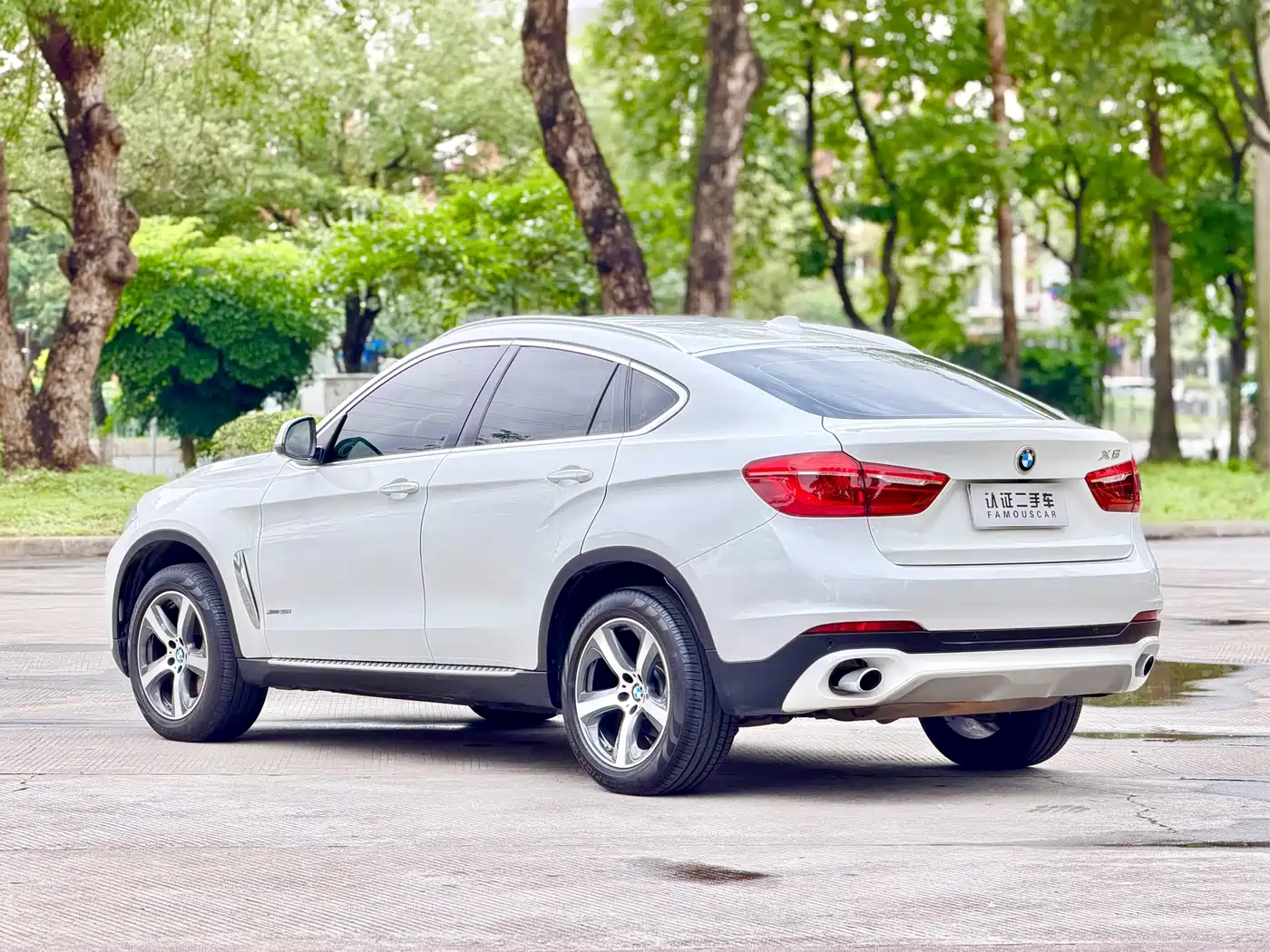 BMW X6 2015 xDrive35i Luxury Model фото 7