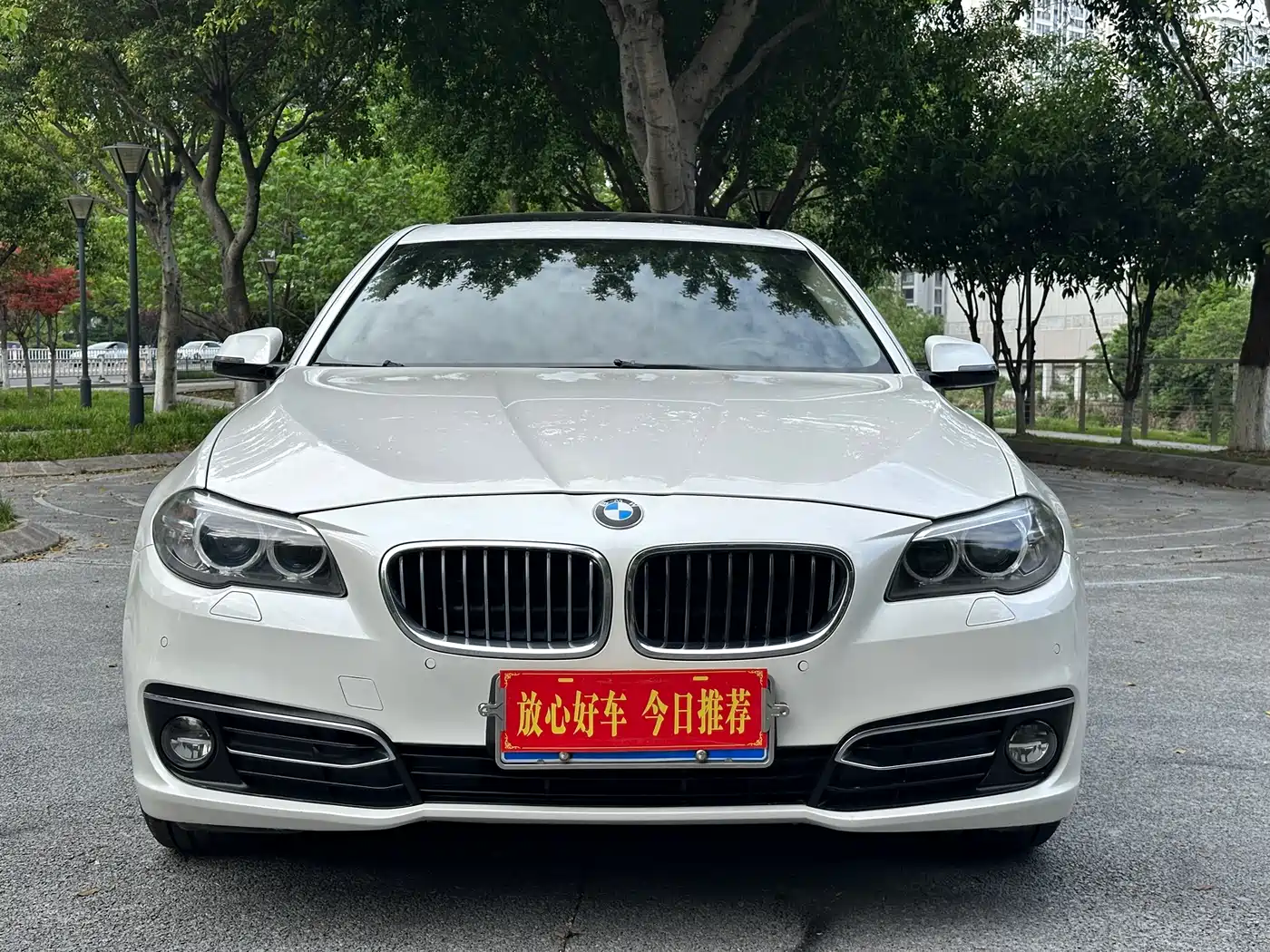 BMW 5 Series 2017 525Li Luxury Design Package фото 2