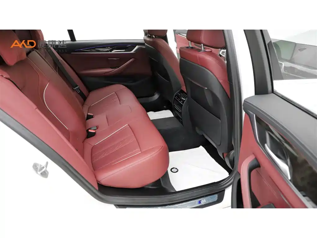 BMW 5 Series 2021 525Li M Sport Package фото 8