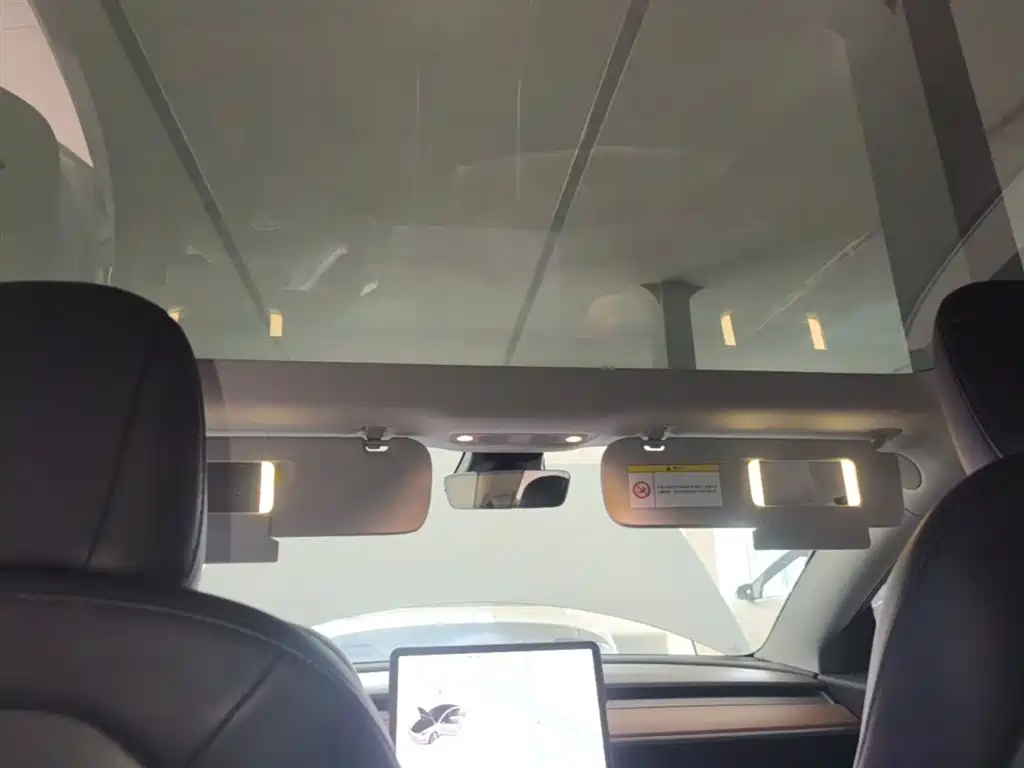TESLA MODEL 3 (IMPORTED)