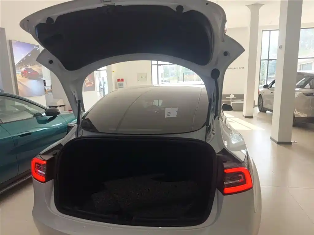TESLA MODEL 3 (IMPORTED)