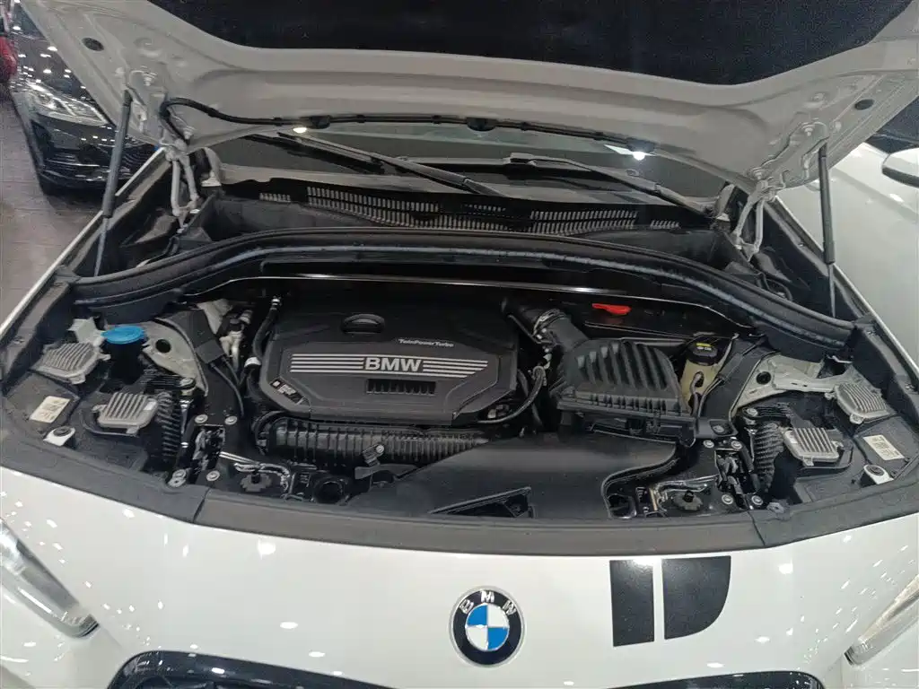 BMW X2 2021 sDrive25i Shadow Night Edition фото 10