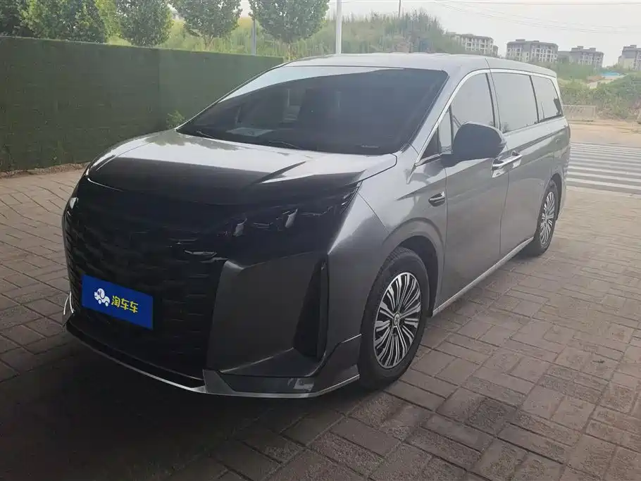 BYD Xia 2025 DM-i 1.5T 180km Surpass Edition