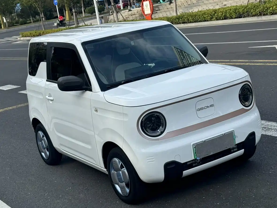 Geely Galaxy Panda 2023 Panda Mini 200km Endurance Bear фото 3