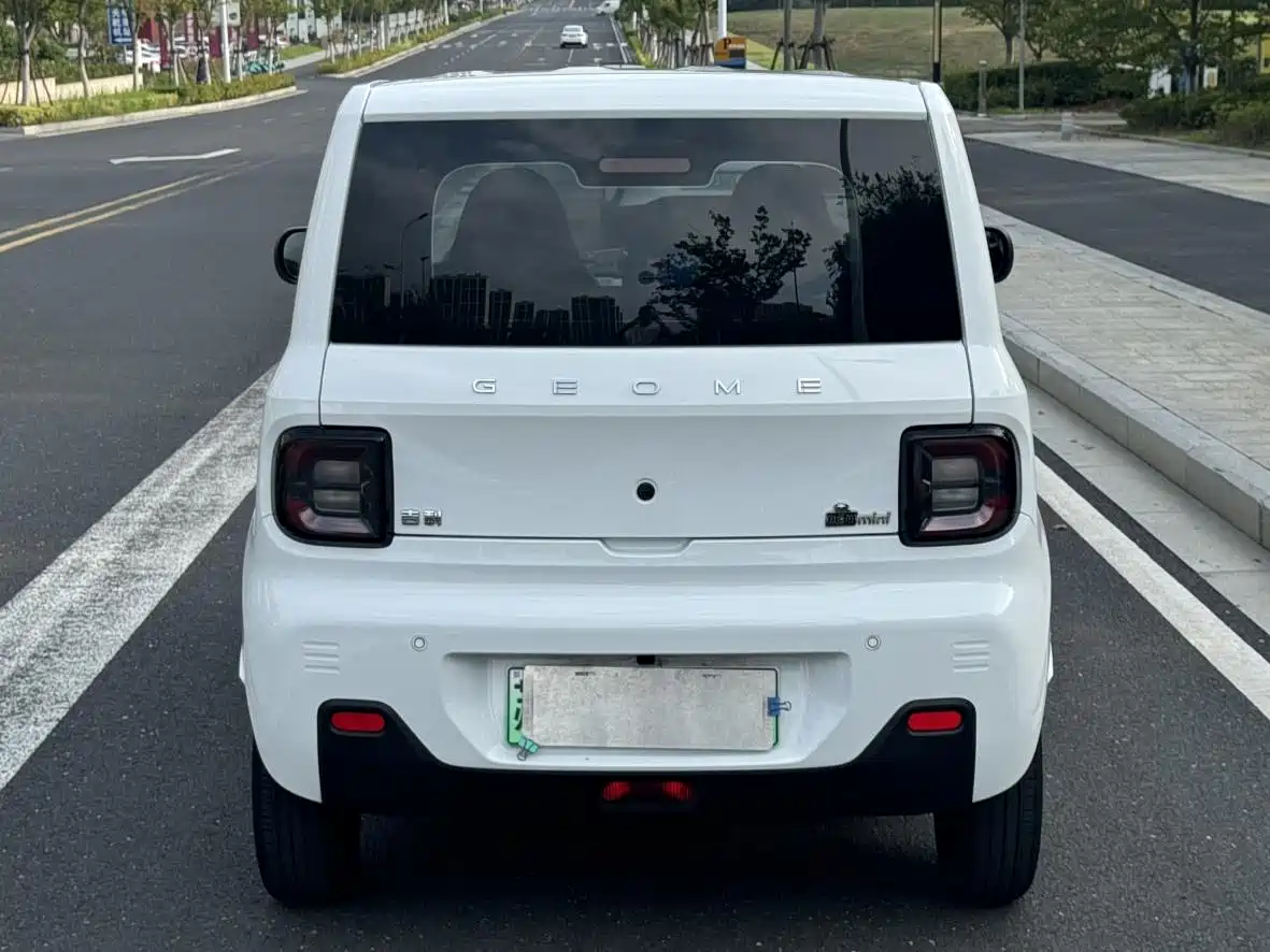 Geely Galaxy Panda 2023 Panda Mini 200km Endurance Bear фото 5