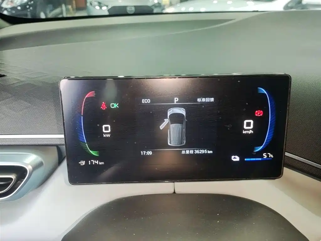 BYD Seagull 2023 Vitality Edition фото 12