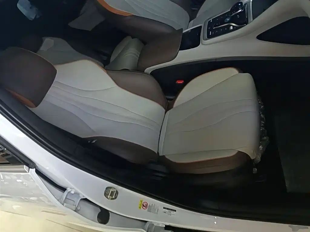 BYD Song Pro New Energy 2022 DM-i 51km Premium фото 25