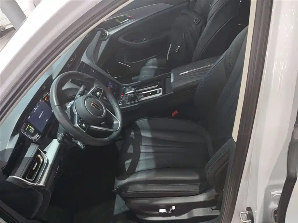 Hongqi H5 2023 2.0T Auto Smart Connect Flag Enjoy фото 15