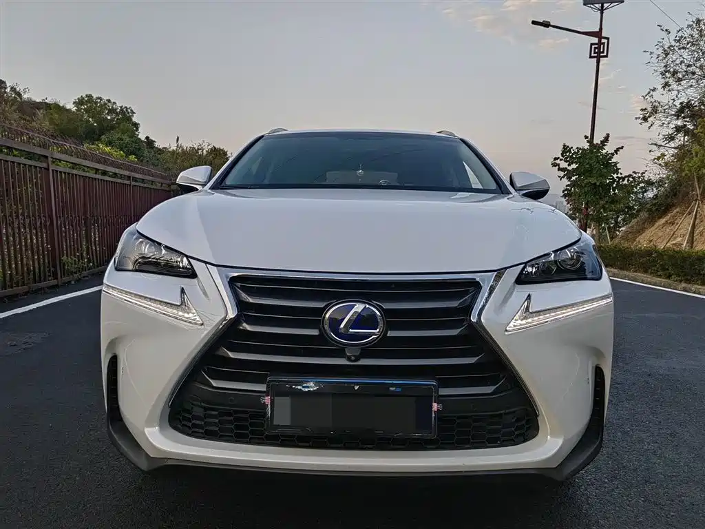 Lexus NX 2015 300h FWD Luxury фото 2