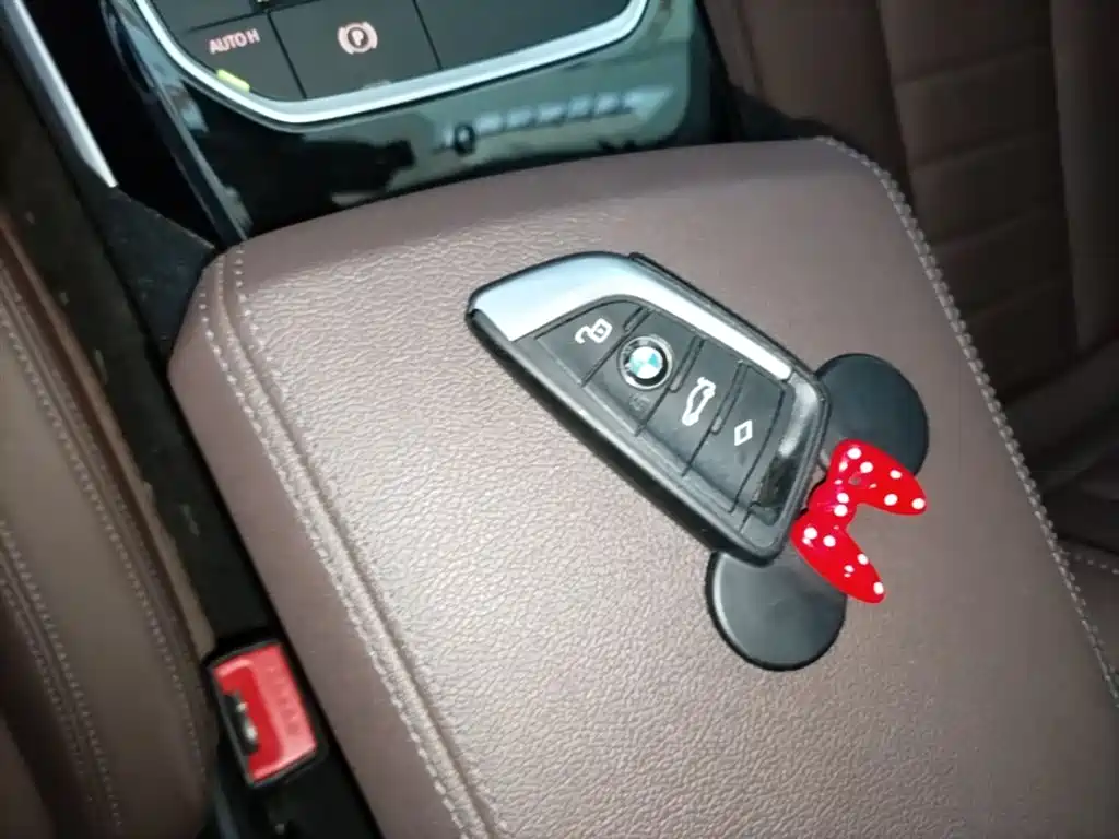 BMW 3 Series 2021 320Li M Sport Package фото 9