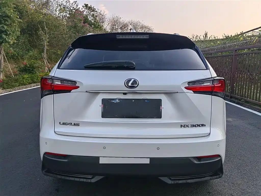 Lexus NX 2015 300h FWD Luxury фото 8