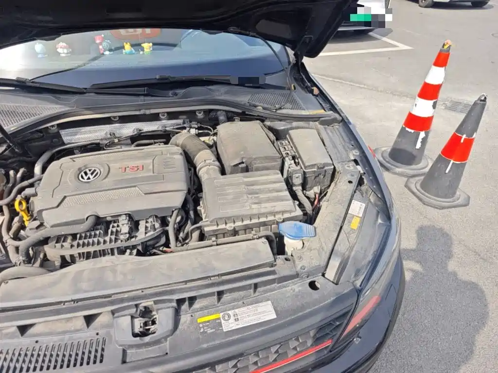 Volkswagen Lamando 2017 2.0T GTS фото 22