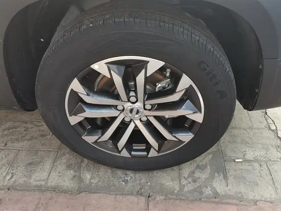 Haval Big Dog 2021 1.5T DCT 2WD Border Collie Edition фото 6