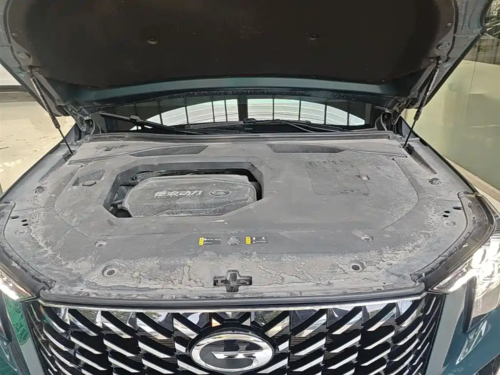 GAC Trumpchi Trumpchi GS8 2022 Pilot Series 2.0TGDI 2WD Premium Edition (6-Seater) фото 20