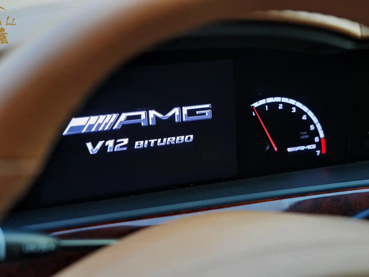Mercedes-Benz S-Class AMG 2010 AMG S 65 фото 18
