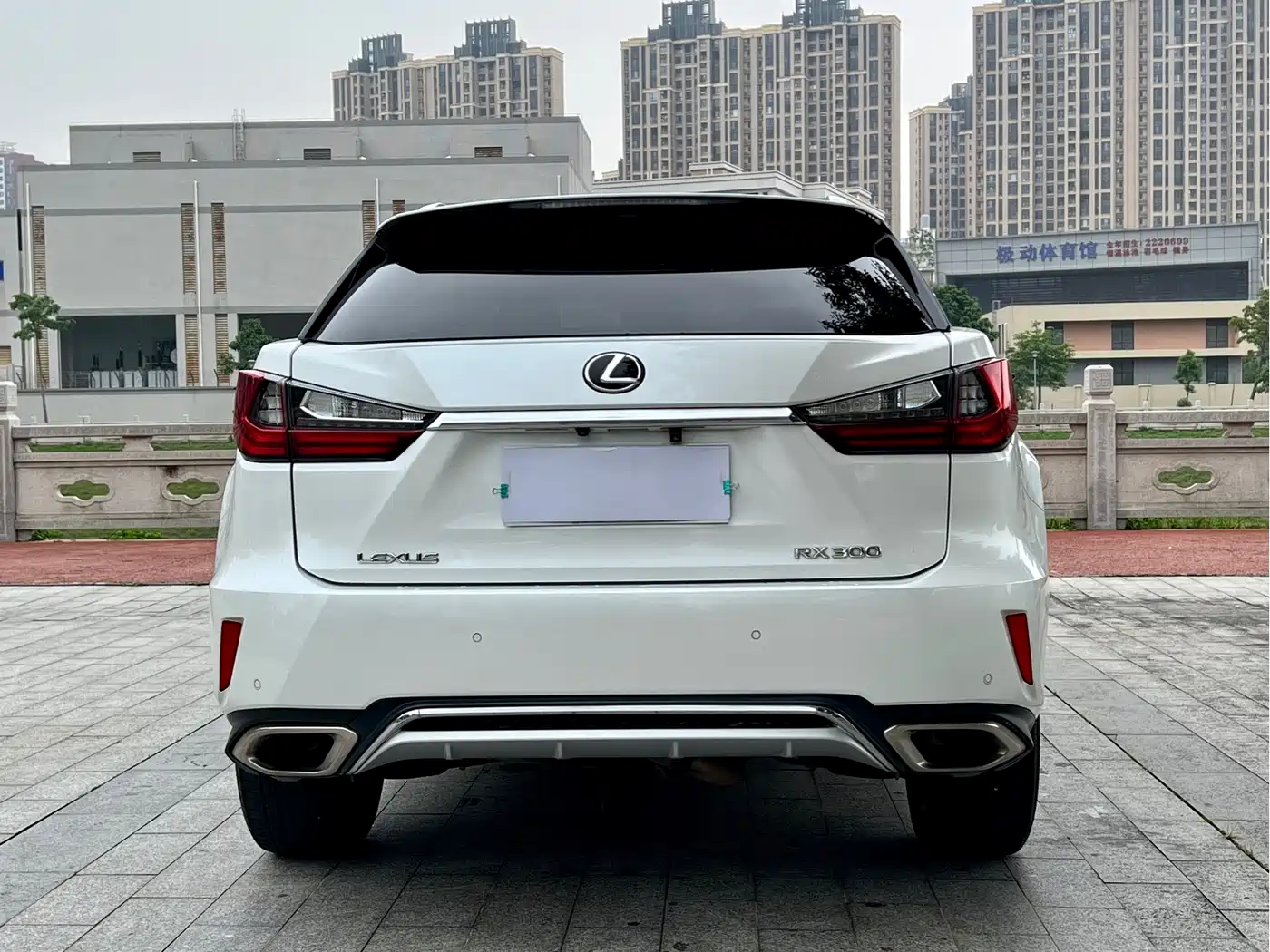 LEXUS RX