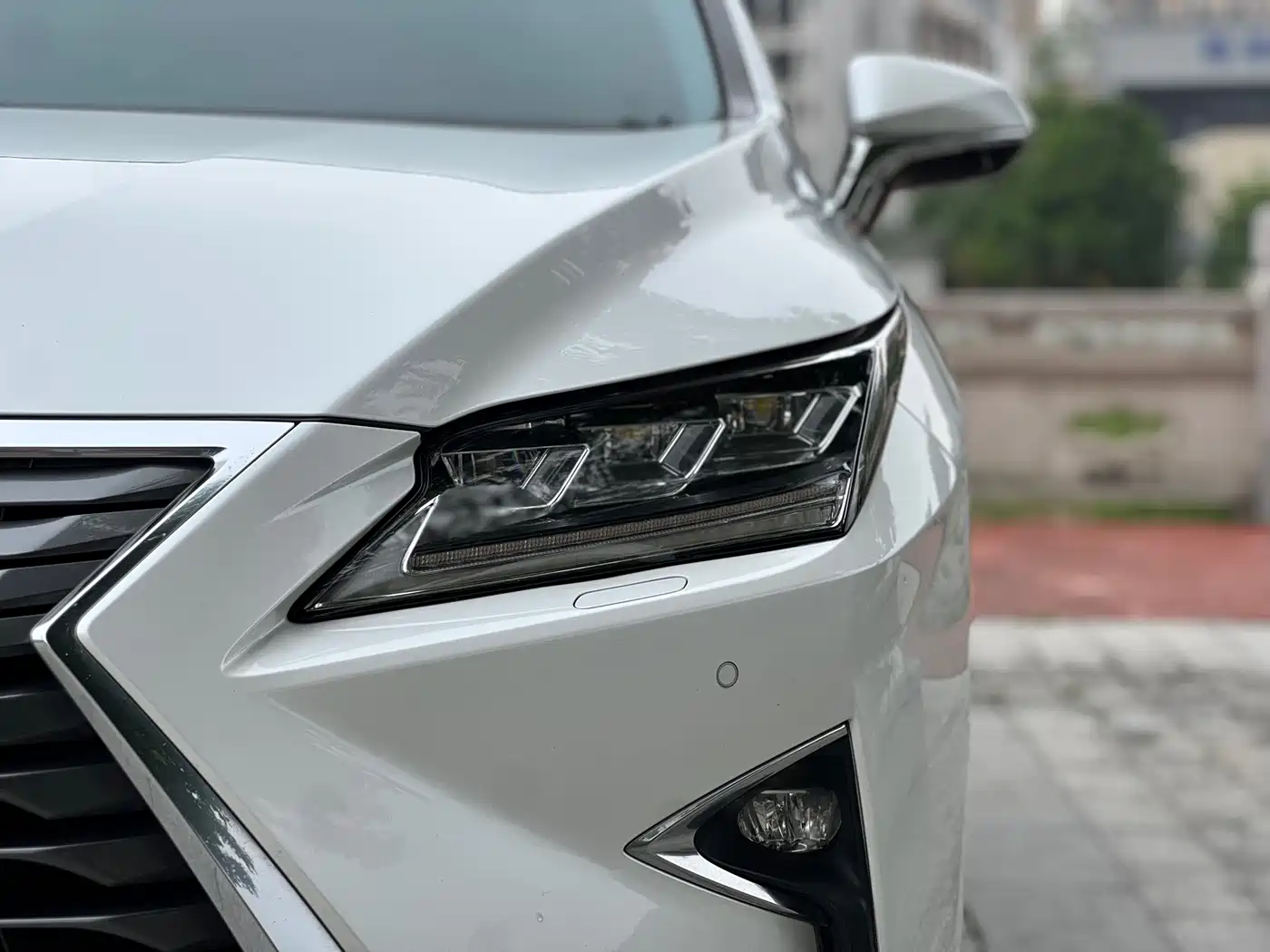 LEXUS RX