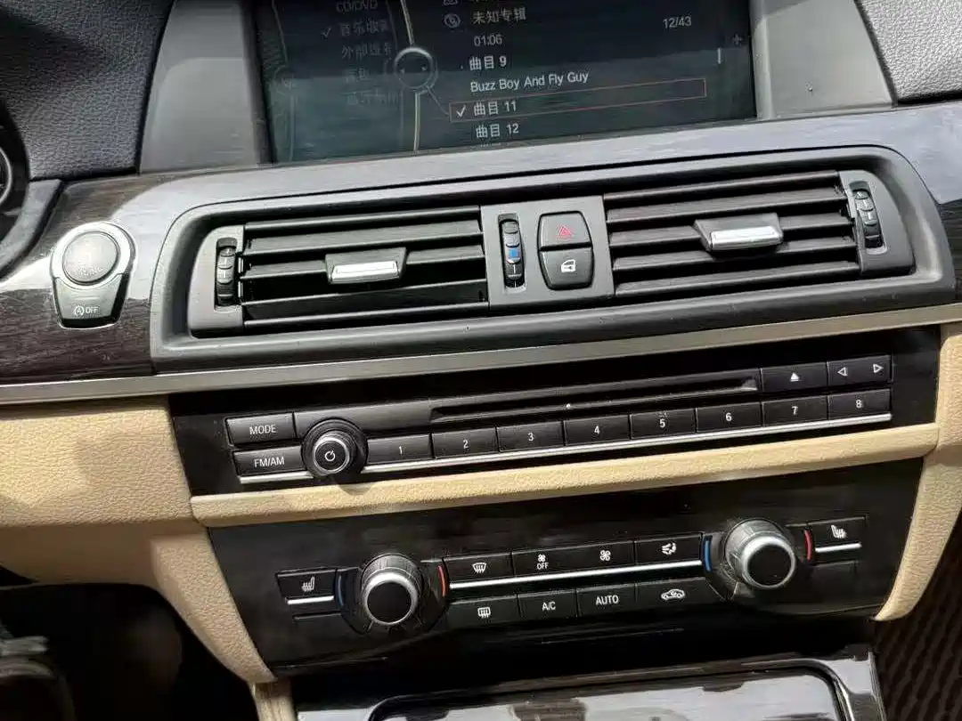 BMW 5 Series 2012 535Li Luxury фото 13