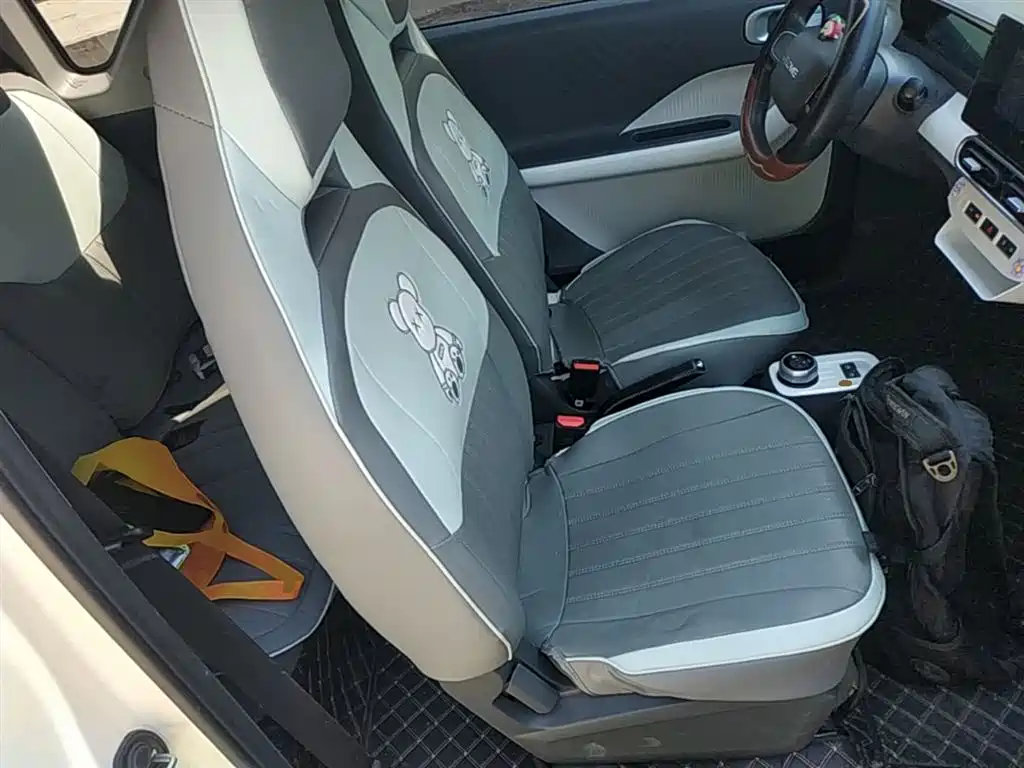 Geely Galaxy Panda 2025 Panda mini 210km Vitality Bear фото 25