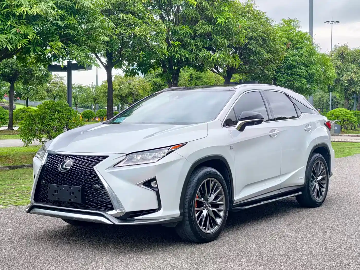 Lexus RX 2016 300 AWD F SPORT Edition China V