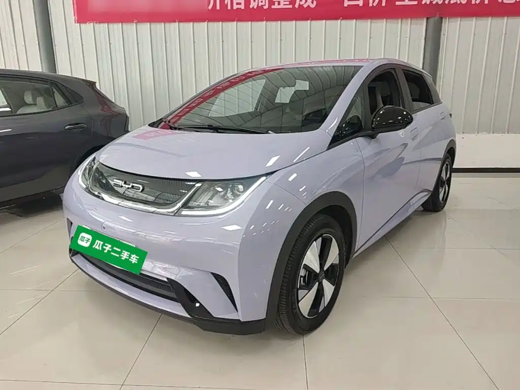 Фото 2 - BYD Dolphin