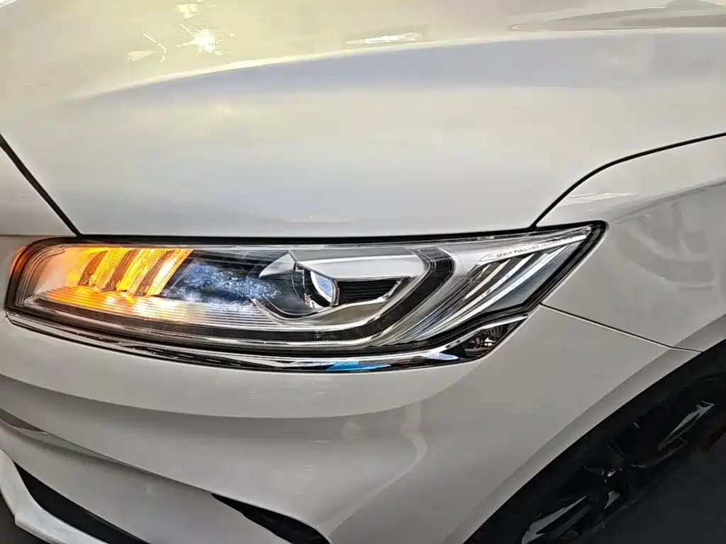 Фото 24 - Geely Borui