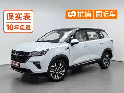 Wuling Asta