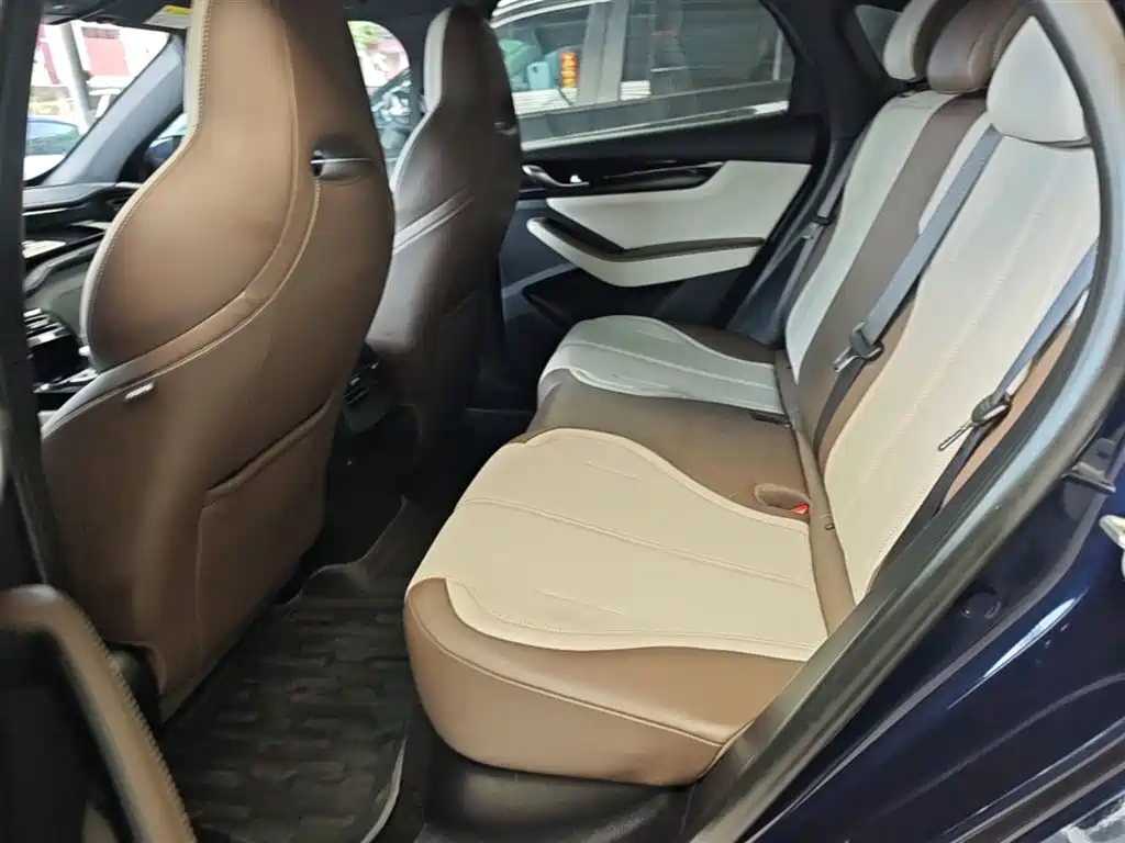 BYD Qin PLUS 2024 Glory Edition DM-i 55KM Leading фото 17