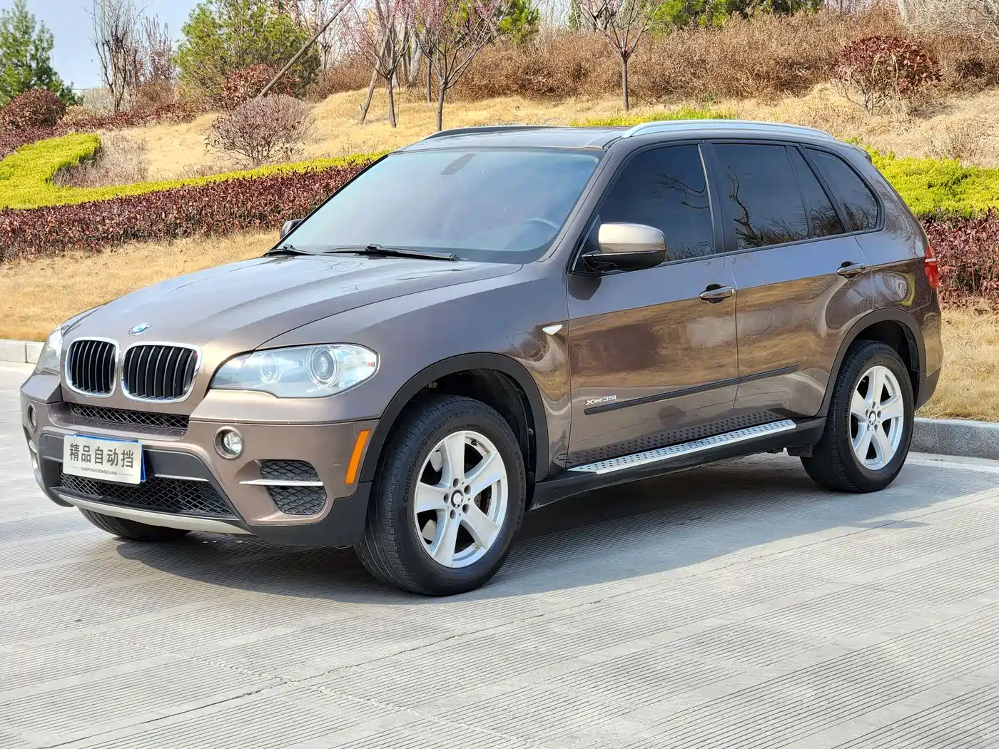 BMW X5 (Import) 2013 xDrive35i Leading фото 5