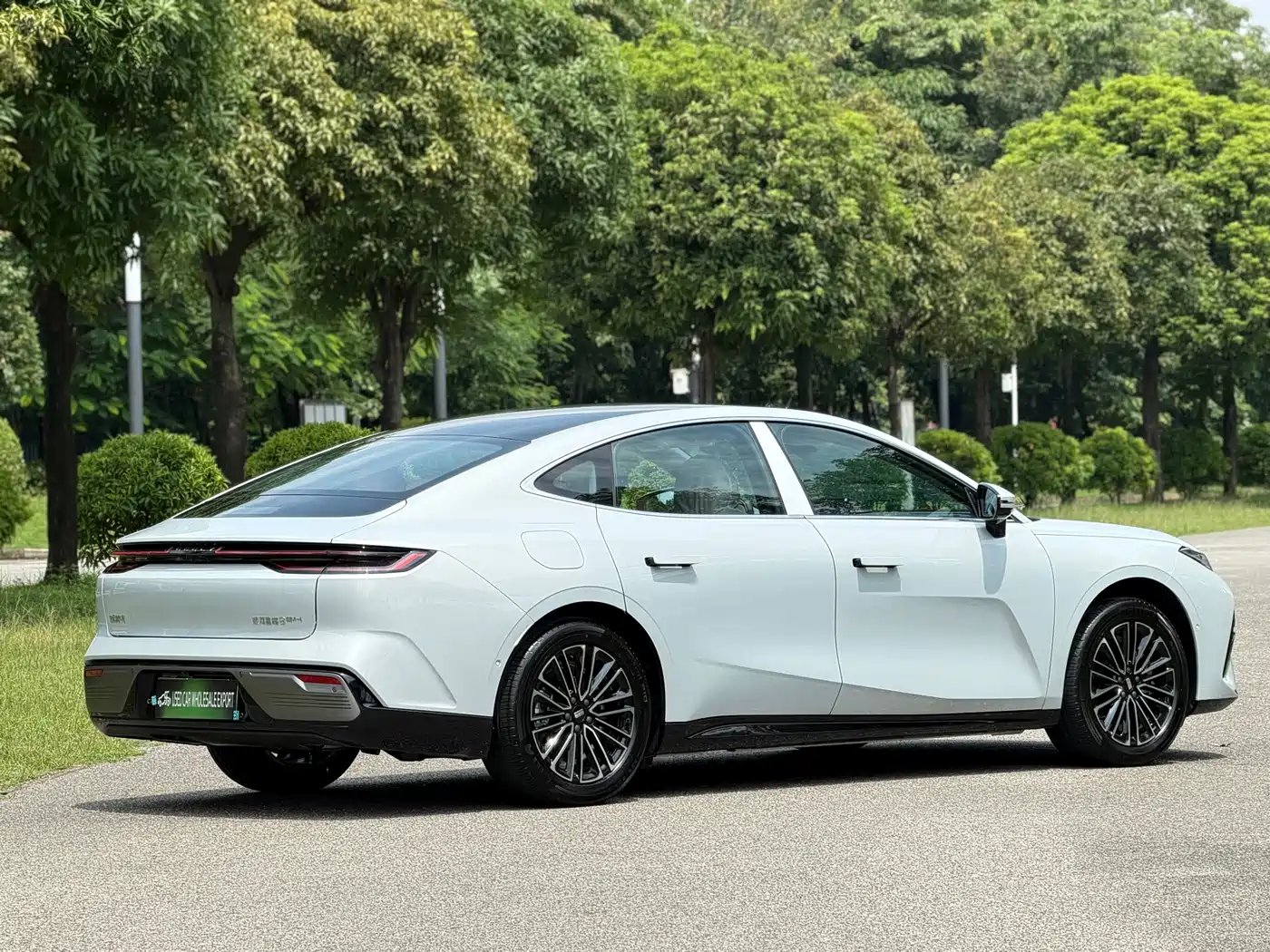 Geely Galaxy Galaxy Xingyao 8 2026 2025 130km EM-i Premium Edition