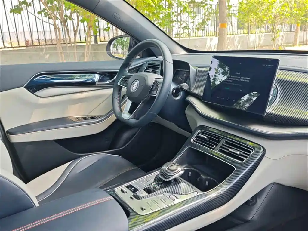 BYD Qin PLUS 2021 DM-i 55KM Flagship фото 14