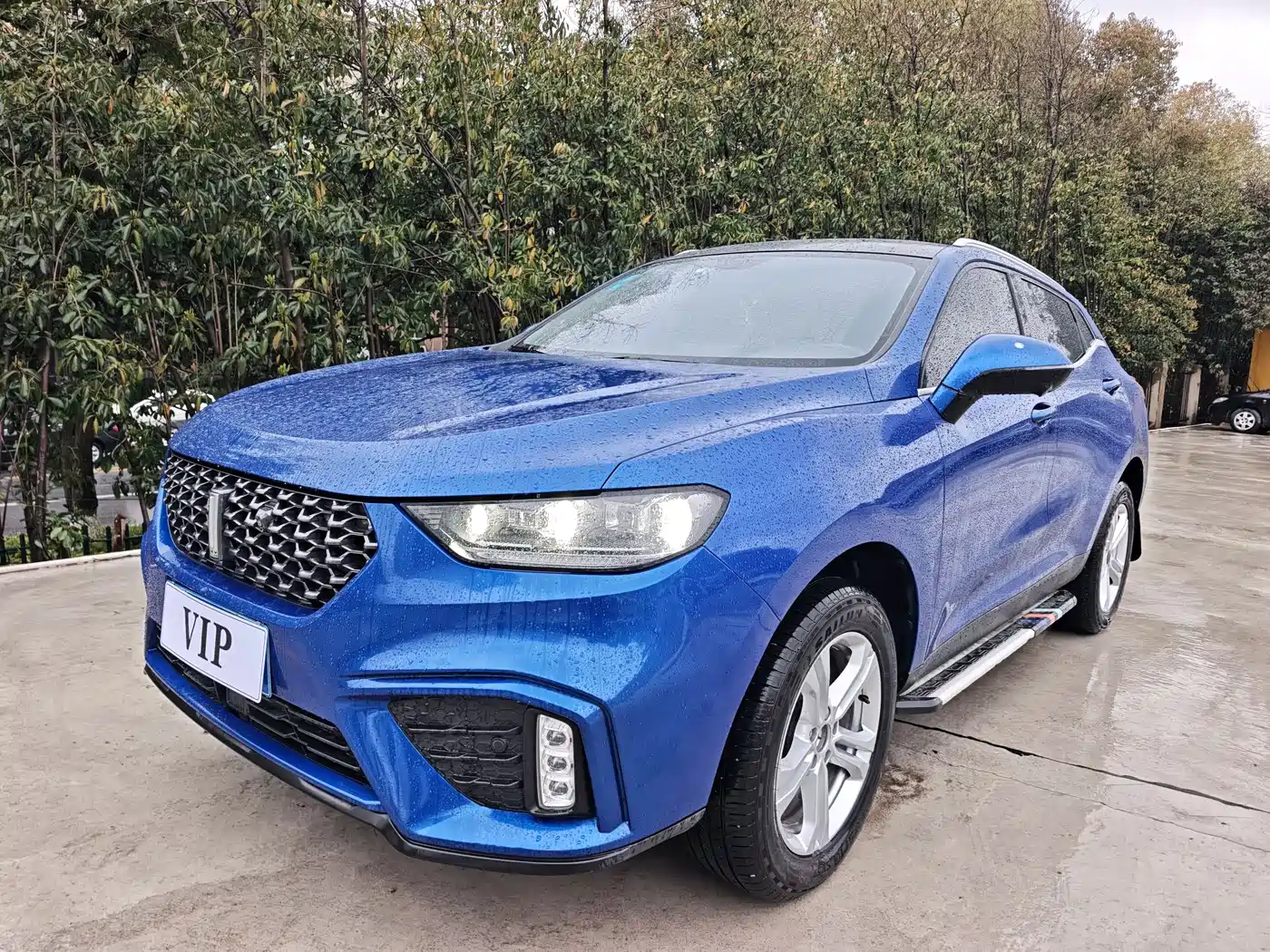 WEI PAI WEI BRAND VV5