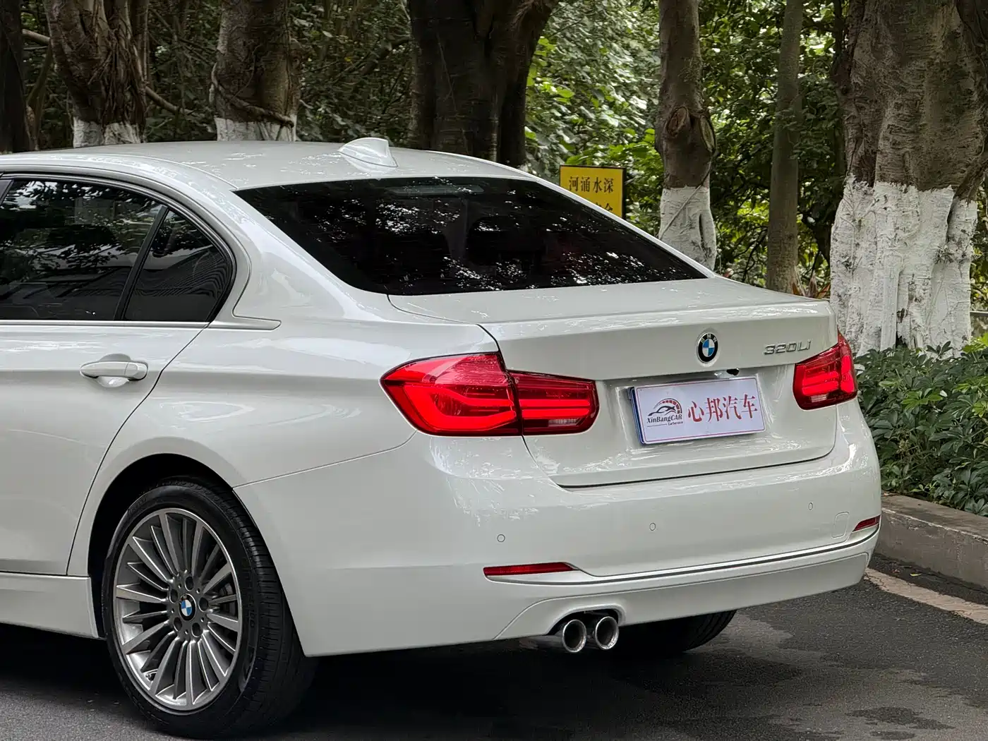 BMW 3 Series 2019 320Li Fashion Type фото 21