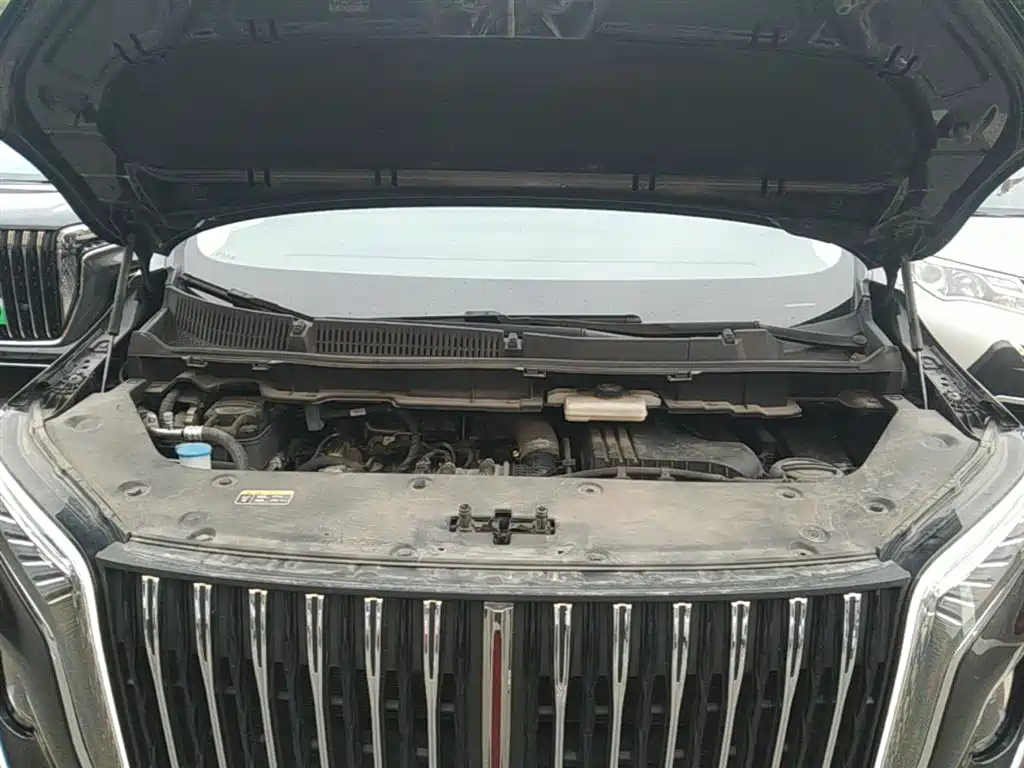 Hongqi HQ9 PHEV 2024 Model 2.0T AWD Luxury Edition фото 20