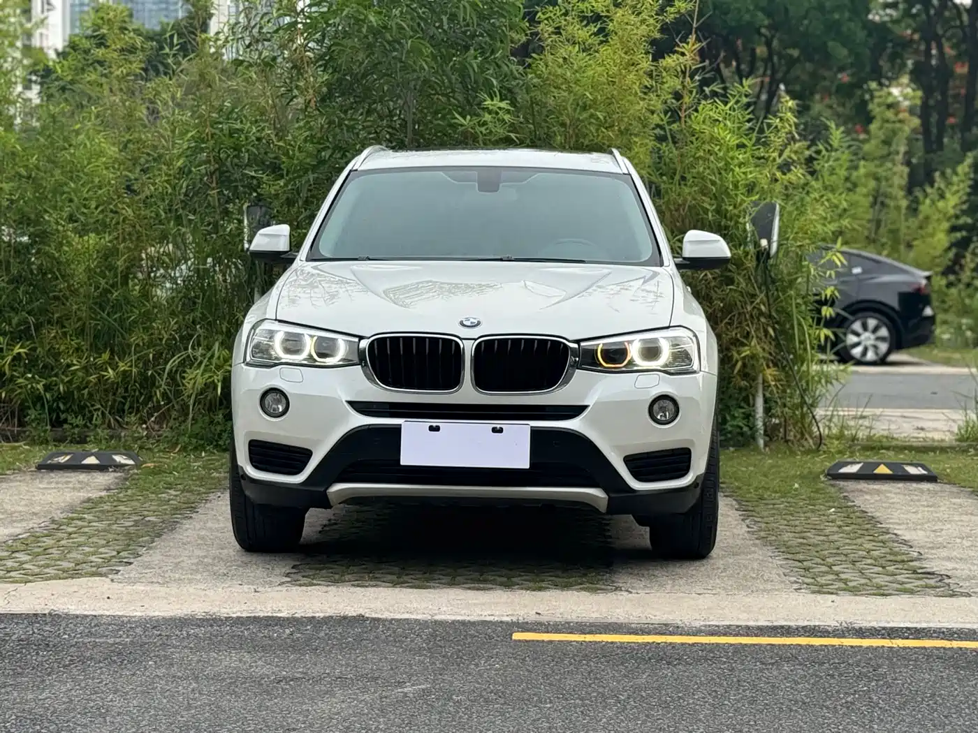 BMW X3 (Import) 2016 sDrive20i фото 2