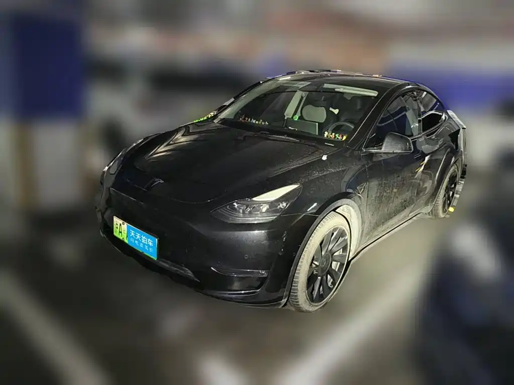 Tesla Model Y 2021 Standard Range Rear-Wheel Drive