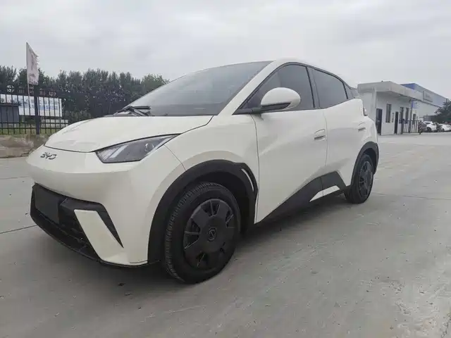 BYD Seagull 2024