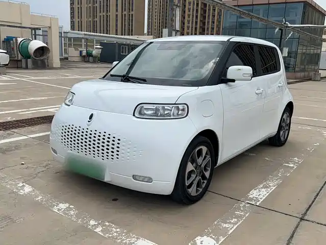 Ora White Cat 2021