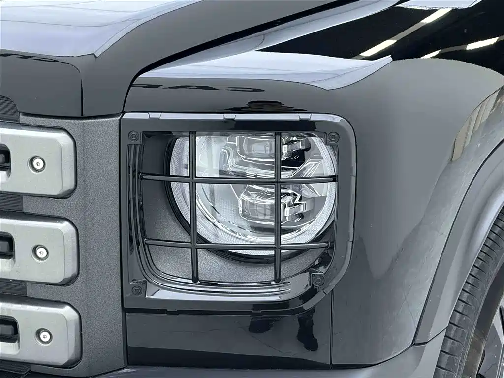 HAVAL RAPTORS NEW ENERGY