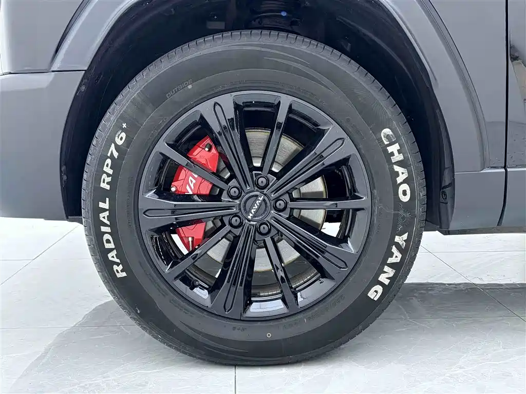 HAVAL RAPTORS NEW ENERGY