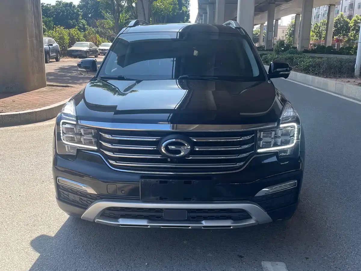 GAC Trumpchi Trumpchi GS8 2017 320T 2WD Luxury Smart Connect (7-seater) фото 2