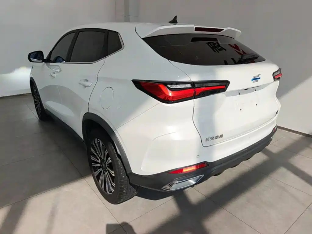 Фото 5 - Changan Oshan Changan Oushang X5