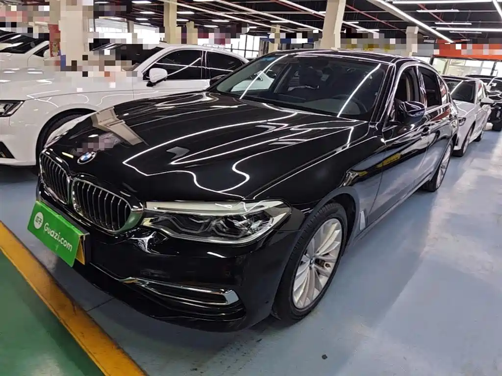 BMW 5 Series 2020 530Li Leading Luxury Package