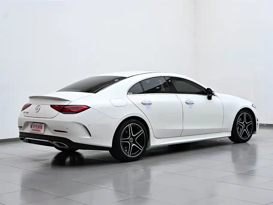 Mercedes-Benz CLS 2022 CLS 300 Luxury фото 7