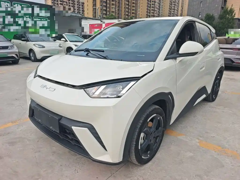 BYD Seagull 2024