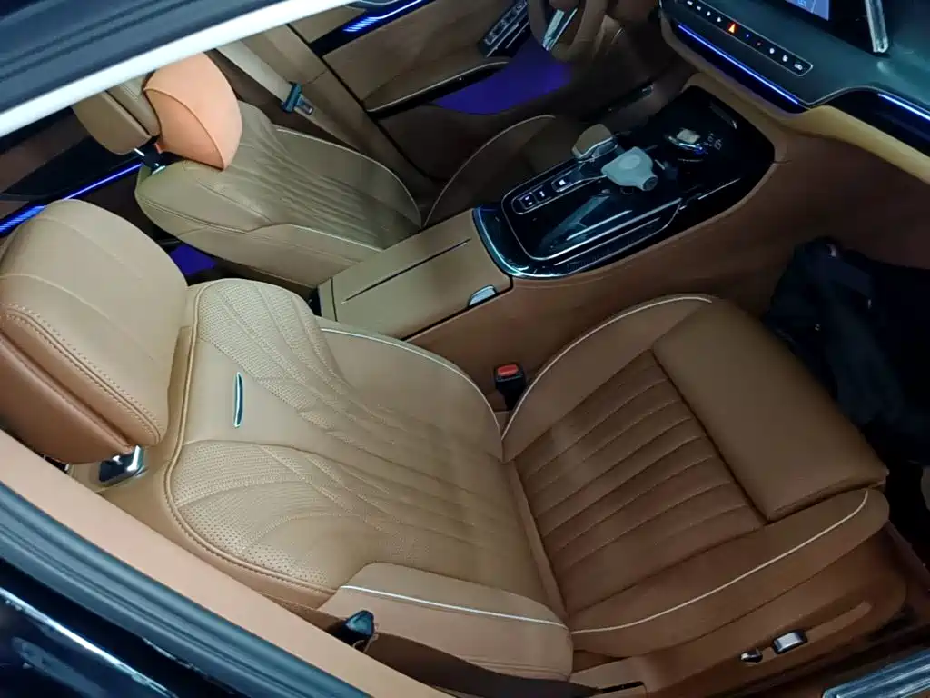 Hongqi H9 2025 2024 2.0T Qi Enjoy Private Fashion Edition